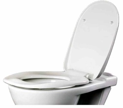 White Ergonomic Toilet Seat with lid